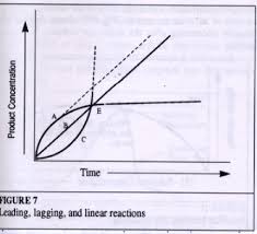 Enzyme Concentration Introduction To Enzymes