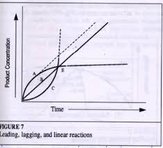 Enzyme Concentration Introduction To Enzymes