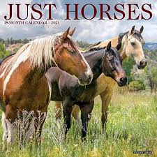 Download Pdf Just Horses 2021 Wall Calendar Free Epub Mobi Ebooks In 2020 Horses Wall Calendar Willow Creek