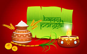 Bhogi or bogi is the first day of sankranti celebrations in andhra pradesh and telangana. Happy Pongal Festival 2021 Wishes Bhogi Maattu Pongal Jallikattu Kaanum Pongal And More News Bugz