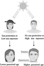 Image result for Sun Exposure