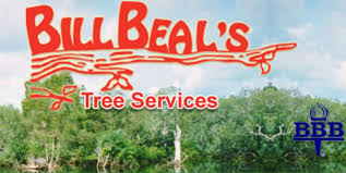 Profile for Bill Beal's Bonded Tree Service