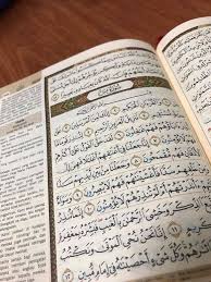 Cara membaca yasin 7 mubin setelah anda menyedari barang anda hilang, anda perlu membaca yasin 7 mubin ini dengan kadar segera supaya barang yang hilang itu akan dapat ditemui dengan cepat. Bidara Syifa Ikhtiar Perubatan Islam Kaedah Yasin 7 Mubin Jika Anda Mengalami Sihir Yang Berulang Ulang Dan Tiada Kesudahan Digalakkan Mengamalkan Kaedah Ini Untuk Kesembuhan Dengan Niat Memberi Kesedaran Dan Pengajaran