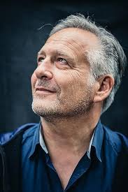 Baumwelten: und ihre Geschichten : Amber, Conrad: Amazon.de: Bücher