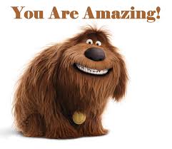 Don T Ever Let Pets Movie Secret Life Of Pets Secret Life