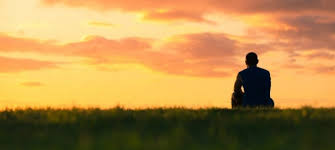Lonely (joel corry song), 2020. Fighting The Loneliness Epidemic Insead Knowledge