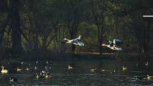 This Church In Mumbai Is Over 300 Years ...