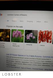 The vivid blossom is always associated with joy. 25 Best Memes About Flower Names Flower Names Memes