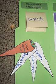 Maybe you would like to learn more about one of these? 18 Referat Pferde Ideen Referat Pferde Lapbook Vorlagen