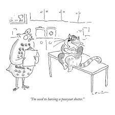I M Used To Having A Pussycat Doctor New Yorker Cartoon Premium Giclee Print Arnie Levin Art Com In 2021 New Yorker Cartoons Giclee Print Seasons Art