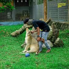 Central park zoo medan menjadi tempat wisata alternatif untuk melihat ragam satwa selain medan zoo atau kebun binatang yang ada di simalingkar medan. Pagi Sobat Zoo Kalau Kamu Central Park Zoo Resort Facebook