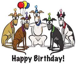 Birthday Wishes In Italiano Happy Birthday Happy Birthday Dog Greyhound Happy Birthday