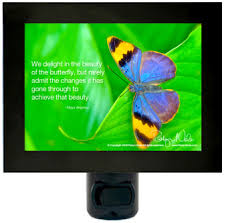 Maya Angelou Butterfly Inspirational Quote Night Light Photo Night Lights