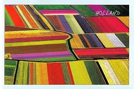 On a more serious note, netherlands has a very rich cultural history, as it was the home of painters like hieronymus bosch, or jan steen, but also of the famous sixteen century scholar erasmus. Holland Flower Fields Tulip Fields Flower Field Tulips