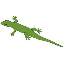 How To Draw A Lizard Easy Drawing Art How to draw a lizard step by step #lizard. how to draw a lizard easy drawing art