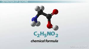 Image result for Glycine