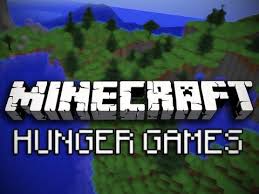 Your ip address is one of 4.3 billion unique numbers that identifies your computer on the internet. Best Minecraft Hunger Games Server 2021