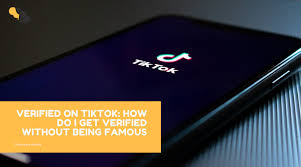 Nowadays, no one is especially into long videos! How To Get Verified On Tiktok Without Being Famous Your Charisma B V Digital Marketing Agency