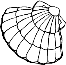 100% free sea life coloring pages. Pin On Crafts