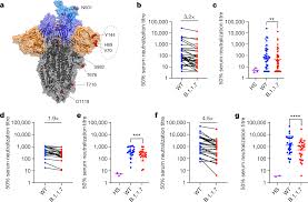 The queen and princess anne visit the climate change institute in edinburgh. Sensitivity Of Sars Cov 2 B 1 1 7 To Mrna Vaccine Elicited Antibodies Nature