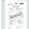 Dienstanweisung zur vorlage der fahrerlaubnis. 1