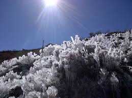 Locations across the united states and the world! Ground Frost Wikipedia