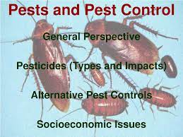 This damage includes, but is not limited to, contaminating our food, spreading disease it is very important to have proper pest control around any area where food is present. Ppt Pests And Pest Control Powerpoint Presentation Free Download Id 6675195