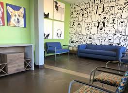 Dog Wallpaper Pet Care Design Vet Clinic Ideas Dog Daycare Design Dog Wallpaper Mural Wallpaper