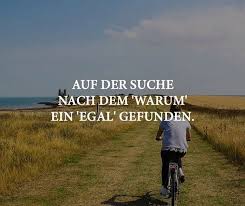 Auf Der Suche Nach Dem Warum Ein Egal Gefunden Spruche Nachdenken Suche