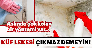 Küf, özellikle nemli ve ışık almayan bölgelerde. Iste Kuf Lekesini Cikarmanin En Kolay Yolu Kadin Haberleri