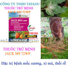 Jack M9 72WP