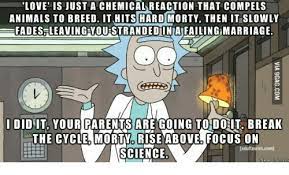 These are last words in the animated television show rick and morty. Rick And Morty Quote What People Called Love Rambling Nerd With A Plan