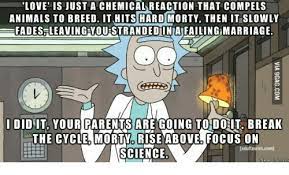 Rick and morty love quotes. Rick And Morty Quote What People Called Love Rambling Nerd With A Plan