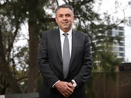 Northern Beaches Council new CEO Ray Brownlee