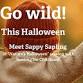 Copy of Nature's Halloween with Rooting for Childhood event image
