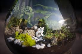 Terrarium Guide I Can T Wait To Use My Little Plastic Animals And Create Little Worlds For Them To Live In So Cu Hanging Terrarium Terrarium Miniature Garden