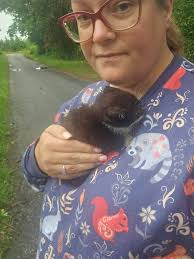 How to contact animal control for Newberry TWP?