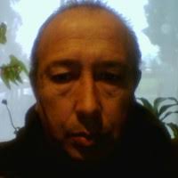 mario alejandro carcamo toledo