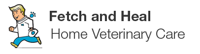 $90 per pet (includes up to 40 min of exam & consultation per pet)* quality of life examination. Fetch And Heal Home Veterinary Care Llc Veterinarian In Portland Or Usa In Home Pet Euthanasia Fetch And Heal Home Veterinary Care Llc Veterinarian In Portland Or Usa