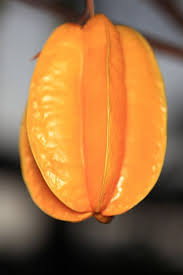 Pin On Food Aournd The World