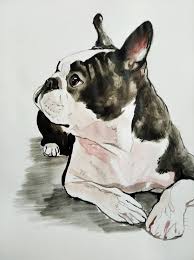 Boston Terrier Dog Painting by Soso Kumsiashvili | Saatchi Art Haiti