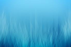 The Filmmaker Four: Diego Ongaro