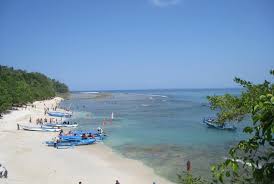 Biasanya kamu akan menemukan batu alam ini sebagai dekorasi di taman atau kolam rumah. Hati Hati Bawa Batu Koral Pantai Ini Denda Besar Menanti Republika Online