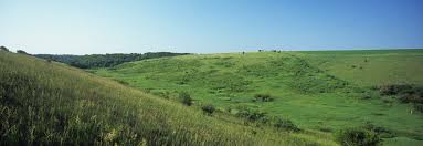 Find 293 synonyms for grassland and other similar words that you can use instead based on 4 separate contexts from our thesaurus. Grassland And Savanna Management Wisconsin Dnr