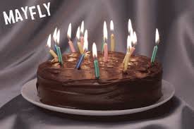 Fancy white birthday cake with pink and yellow decorative flowers and eight burning candles. Pictures On Animated Birthday Cake Candles