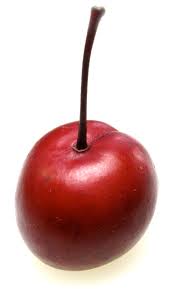 Whether you're planting a young thundercloud plum tree (prunus cerasifera thundercloud) fresh from the nursery or moving an already established tree to a different part of the garden, transplanting. Ufei Selectree A Tree Selection Guide