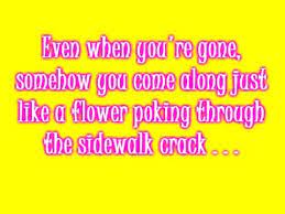The song smile by uncle kracker is about the persona of the song speaking to his loved one or dearest friend how she has affected his life. Smile Uncle Kracker Lyrics Youtube