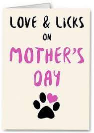 Maybe you would like to learn more about one of these? Mothers Day Card From The Dog Funny Premium Quality Ebay