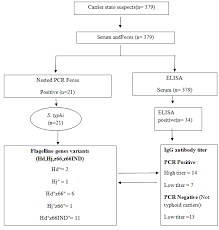 Figure 1 Flowchart Of Detection Of Cariers State