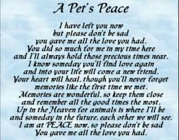 Pin By Col Potter Cairn Rescue Netwo On Just Because Dog Loss Quotes Dog Poems Pet Poems